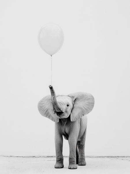 Kleiner Elefant mit Luftballon in Schwarz-Weiß