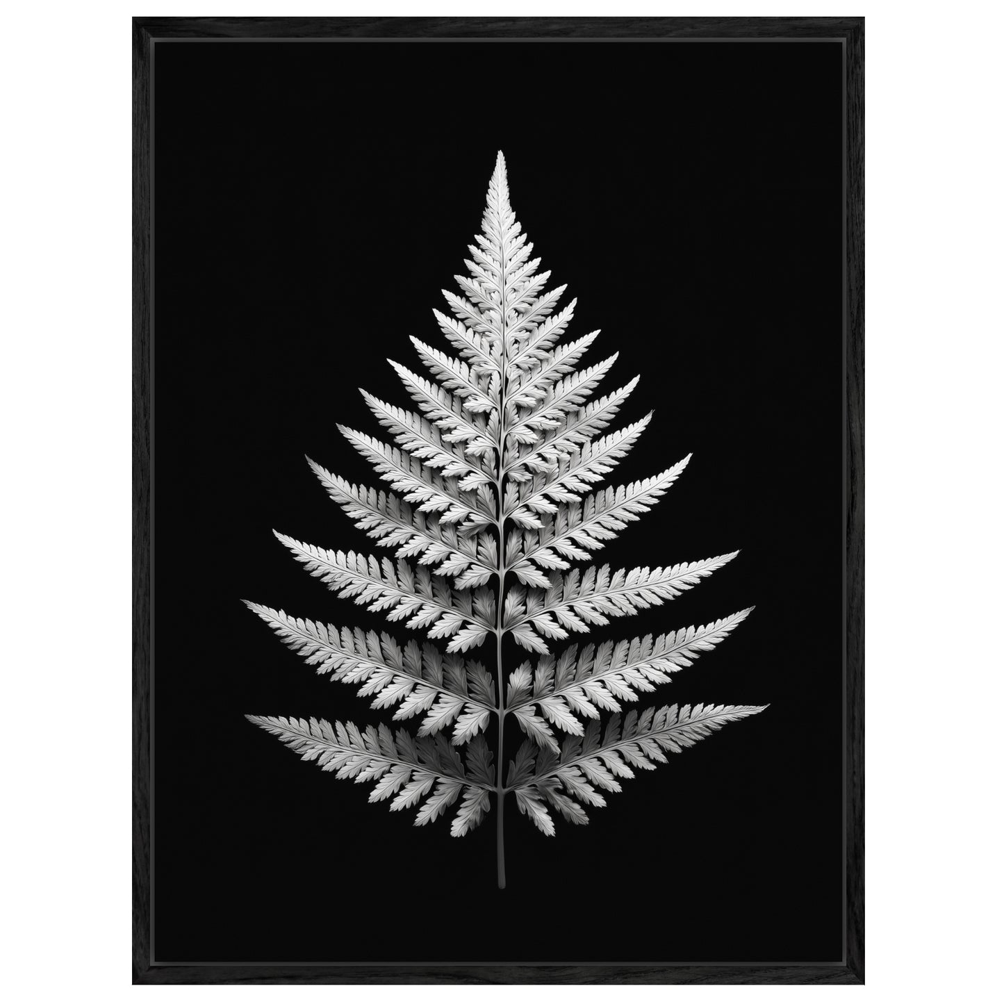 Farnblatt Symmetrie Leinwandbild