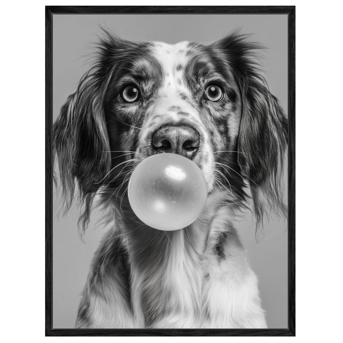 Hund mit Kaugummiblase Leinwandbild