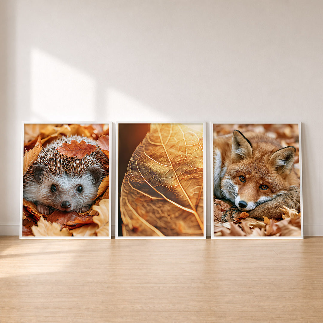 Set-Ansicht: Herbst Poster Set – Igel, Blatt & Fuchs (3er)