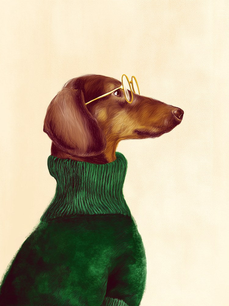 Dackel mit grünem Pullover Poster