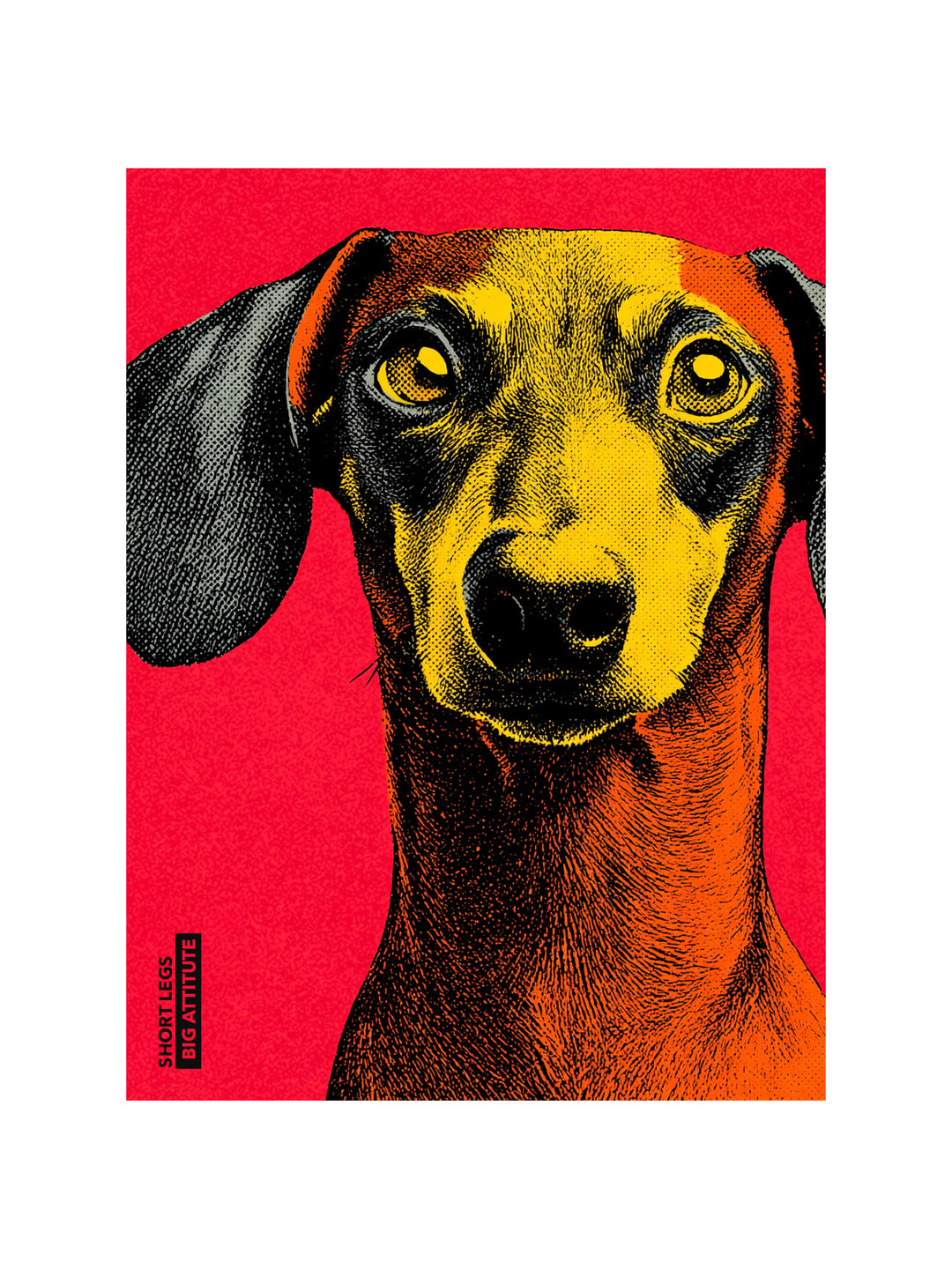 Dackel Pop Art – Wandkunst