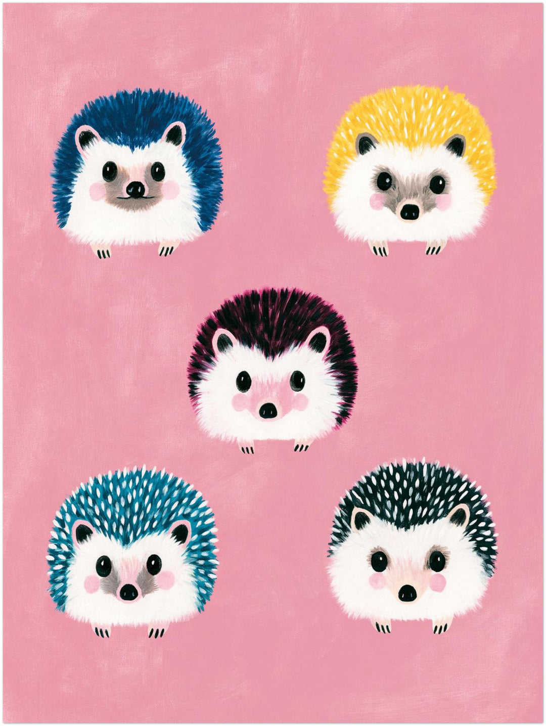 Fünf bunte Igel Poster – Ohne Rahmen – Produktfoto