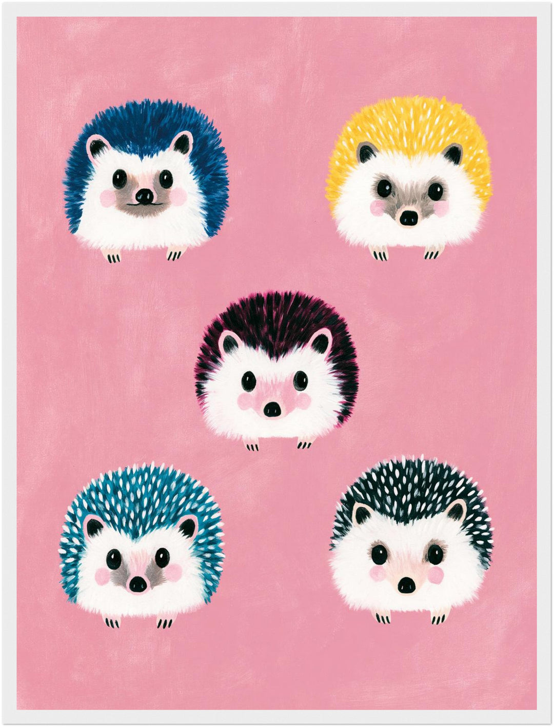 Fünf bunte Igel Poster – Weißer Rahmen – Produktfoto