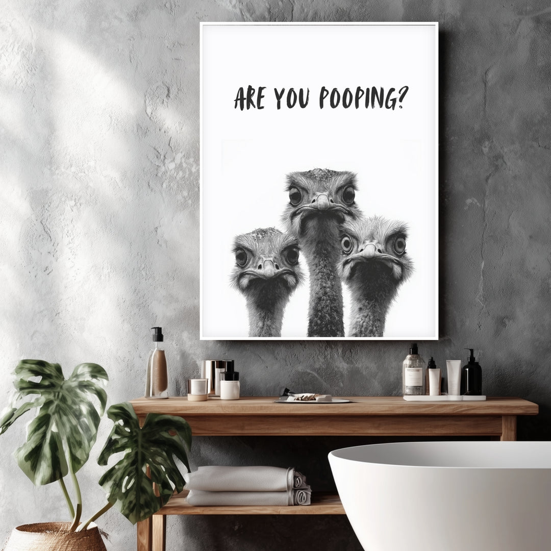 Drei neugierige Strauße Poster abstrakt – mattes Kunstdruck-Papier – Ansicht 4