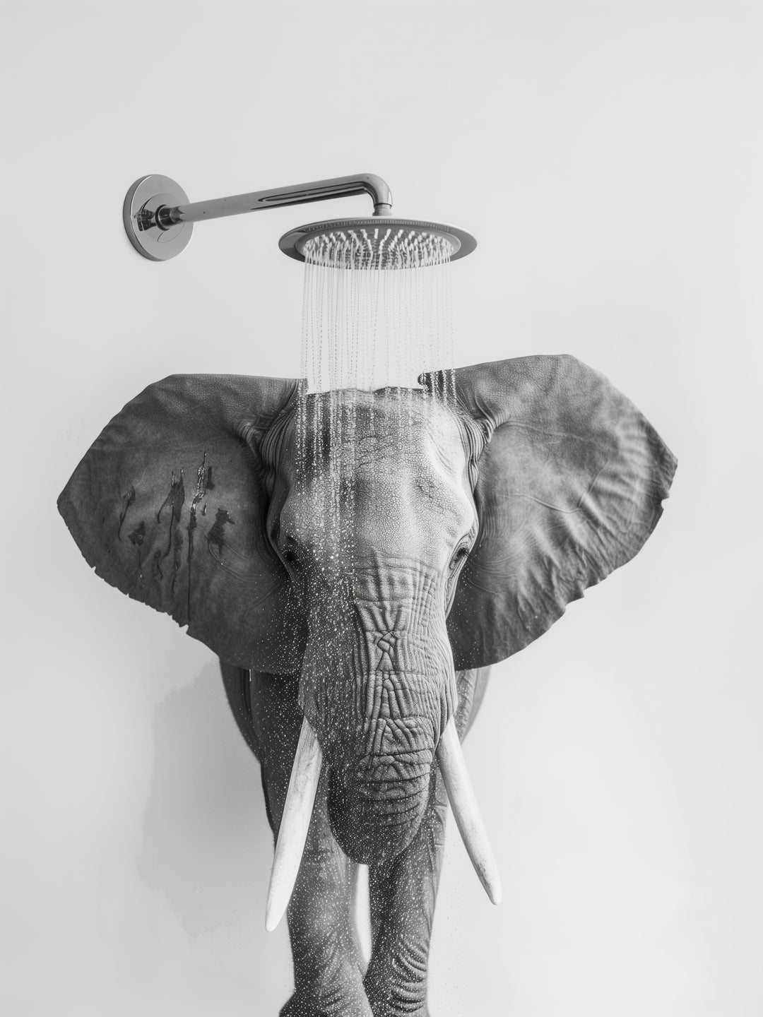 Elefant unter Dusche  – Wandkunst
