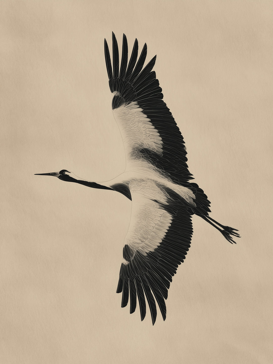 Fliegender Fischreiher  – Wandkunst