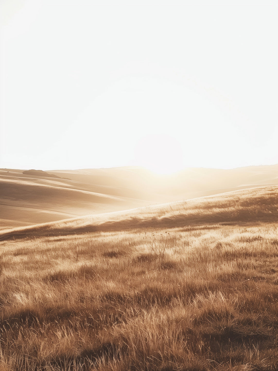 Goldene Hügel Landschaft  – Wandkunst