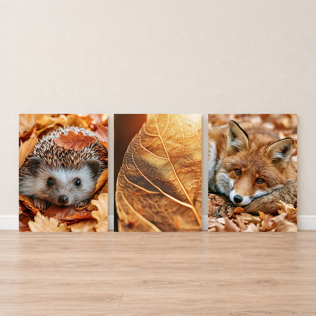 Set-Ansicht: Herbst Leinwand Set – Igel, Blatt & Fuchs (3er)