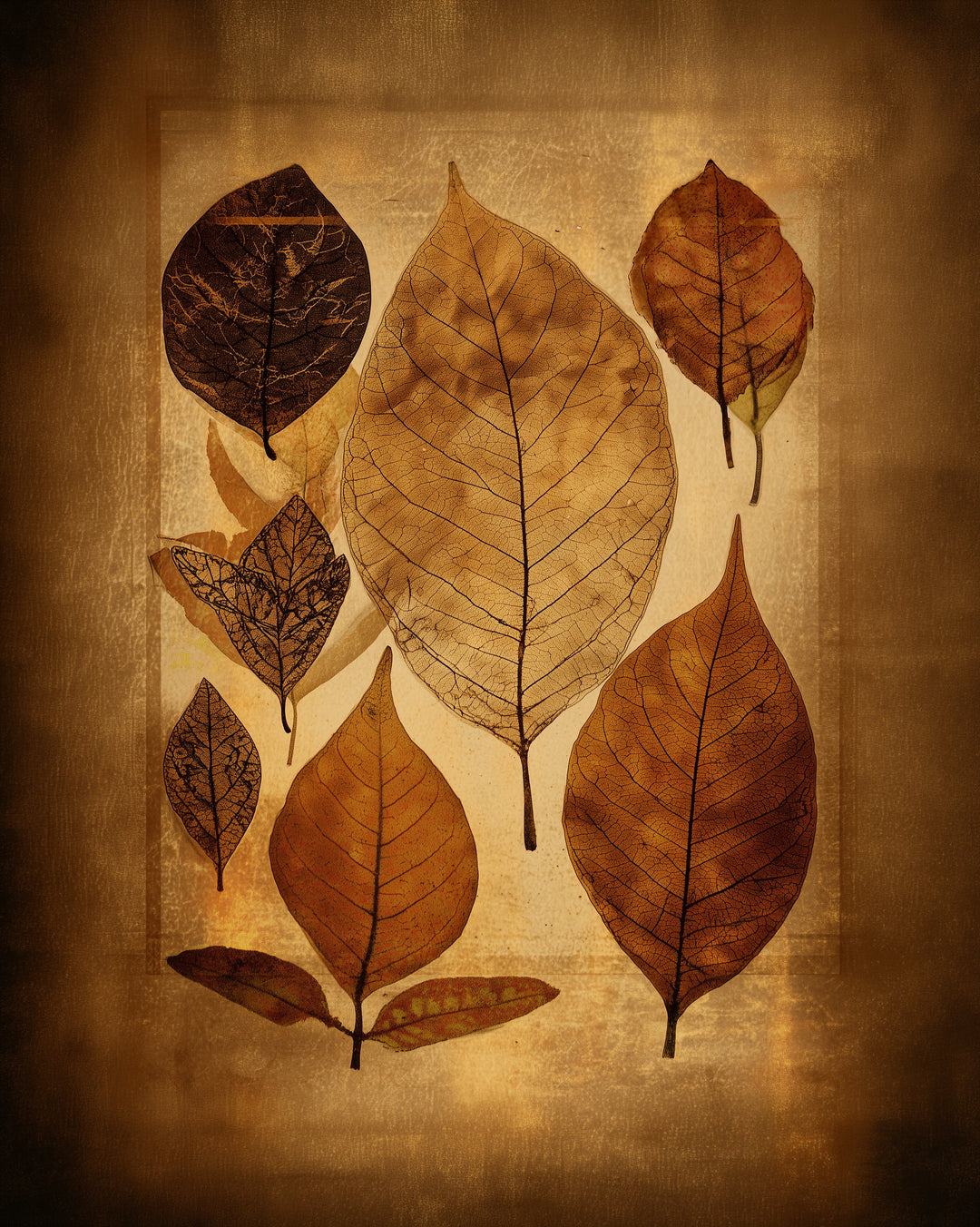 Getrocknete Blätter Herbarium Poster – Wandbild