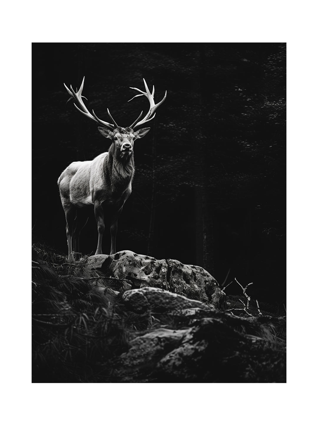 Hirsch auf Felsen  – Wandkunst