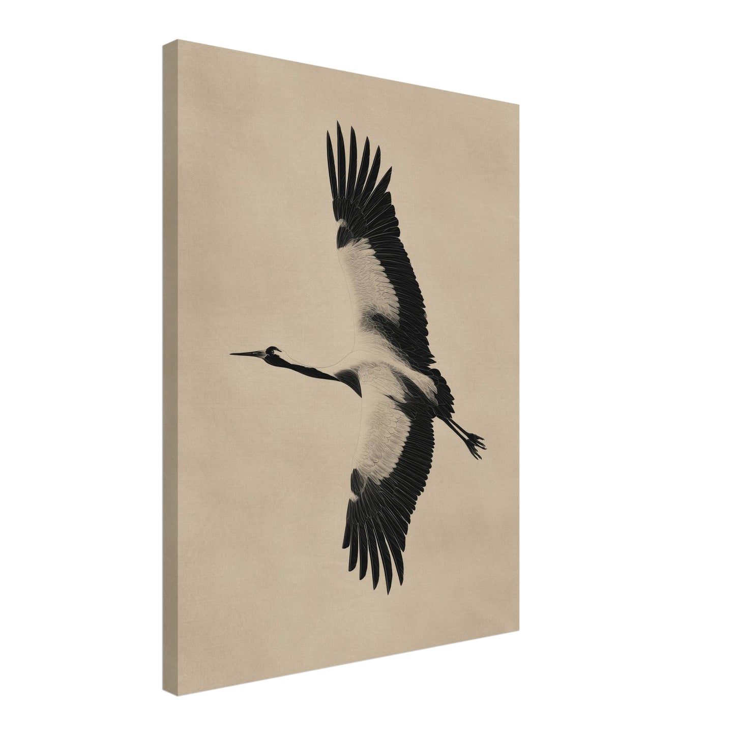 Fliegender Fischreiher Leinwandbild