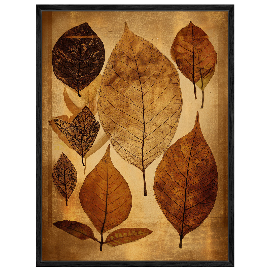 Getrocknete Blätter Herbarium Leinwandbild – Leinwandbild