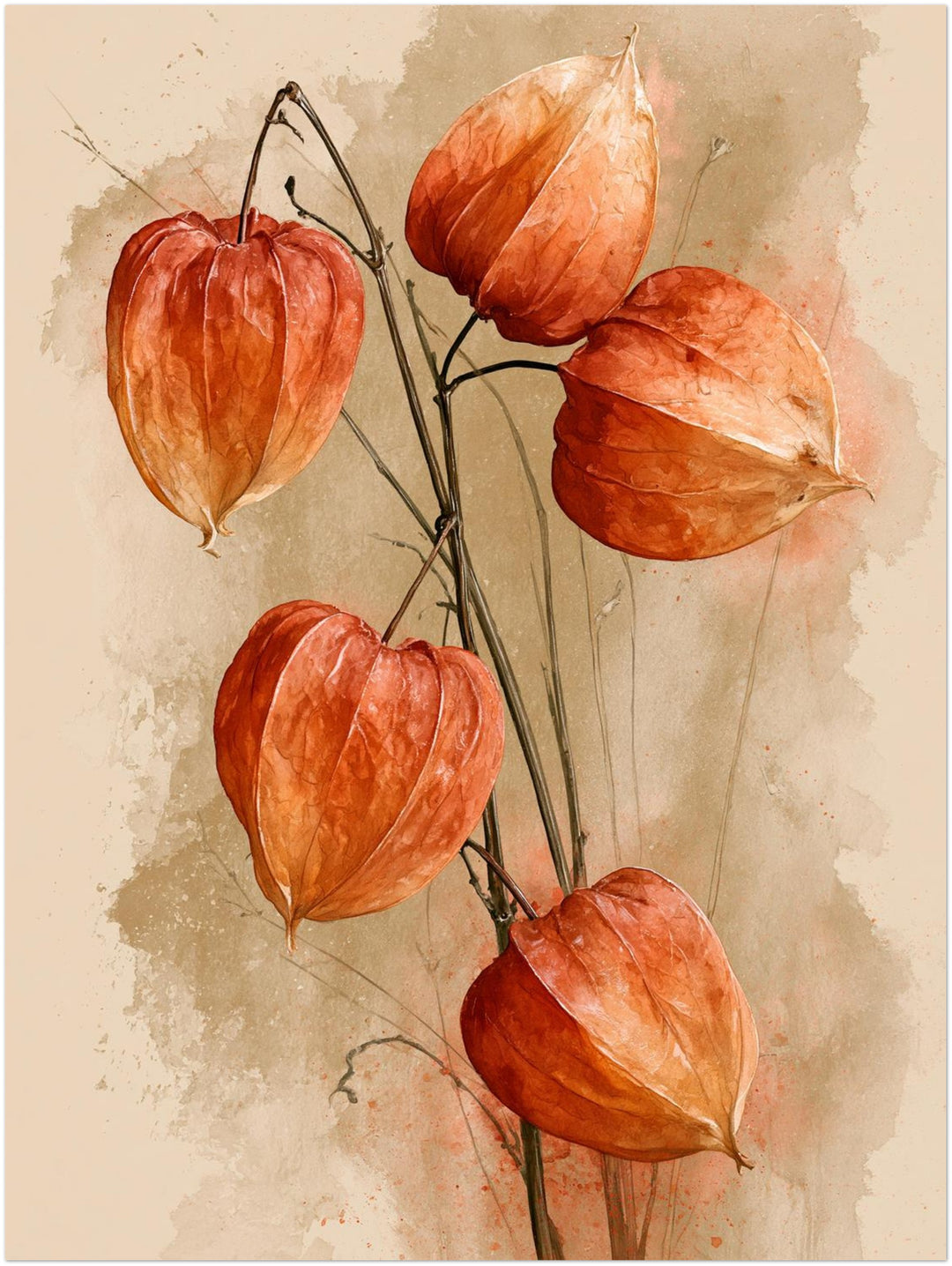 Rote Lampionblumen im Herbst Leinwandbild – Ohne Rahmen – Produktfoto