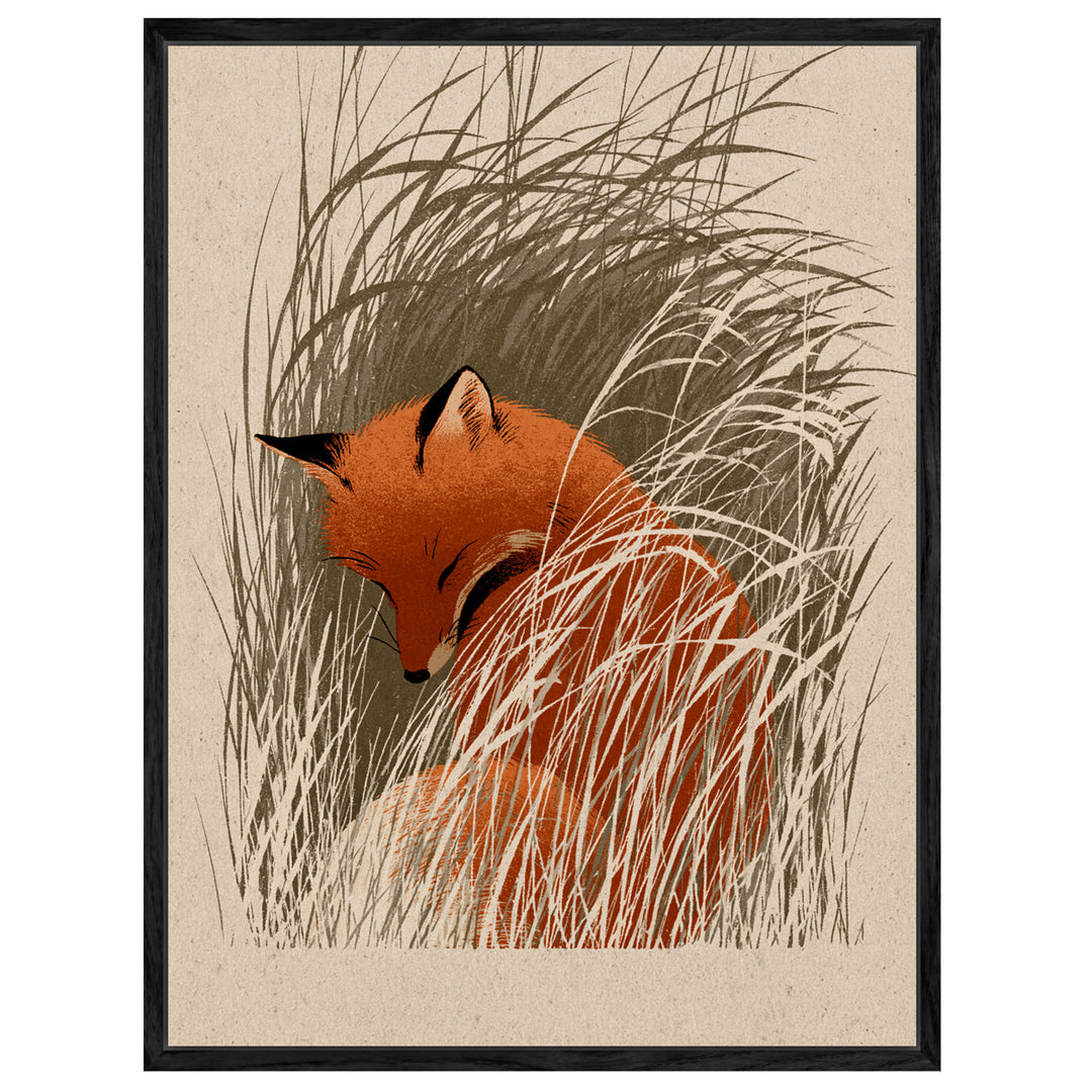 Schlafender Fuchs im Schilf Leinwandbild – Leinwandbild