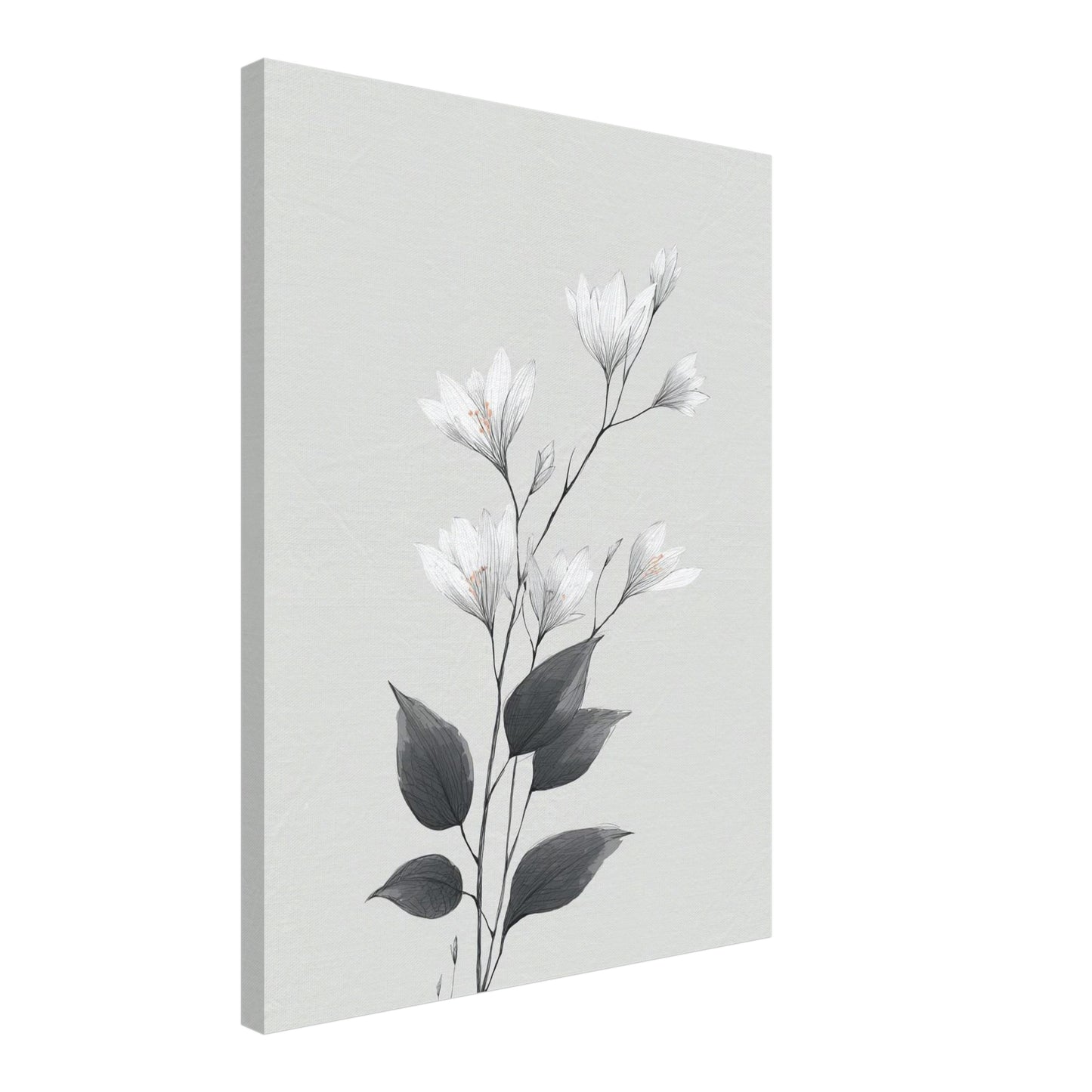 Zarte Kirschblüten Leinwandbild