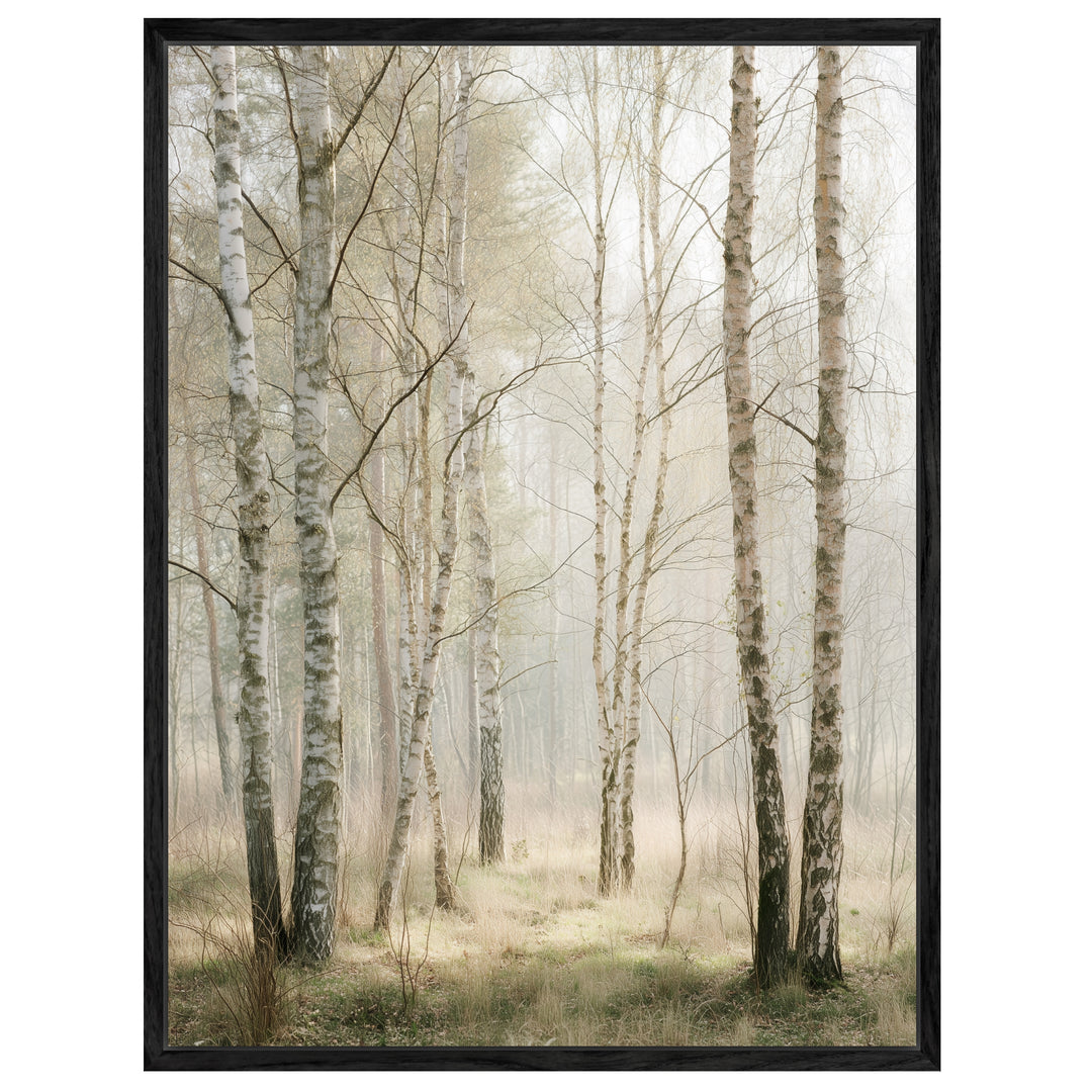 Birkenwald im Morgenlicht Leinwandbild abstrakt – Leinwand auf Holzrahmen – Ansicht 4