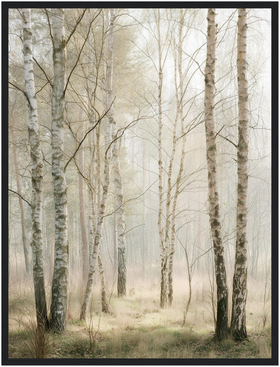 Birkenwald im Morgenlicht Poster abstrakt – mattes Kunstdruck-Papier – Ansicht 5