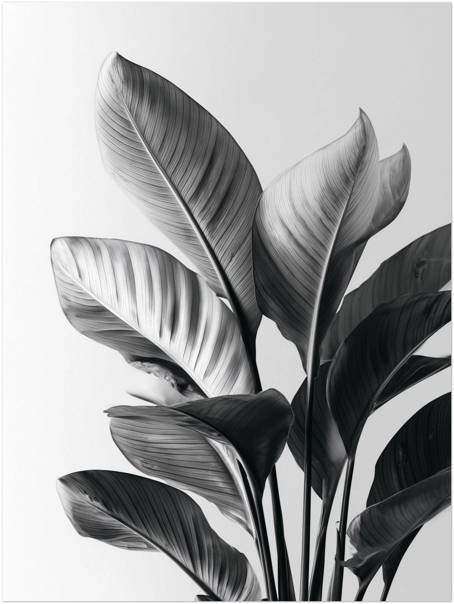 Aufrechte große Blätter Poster