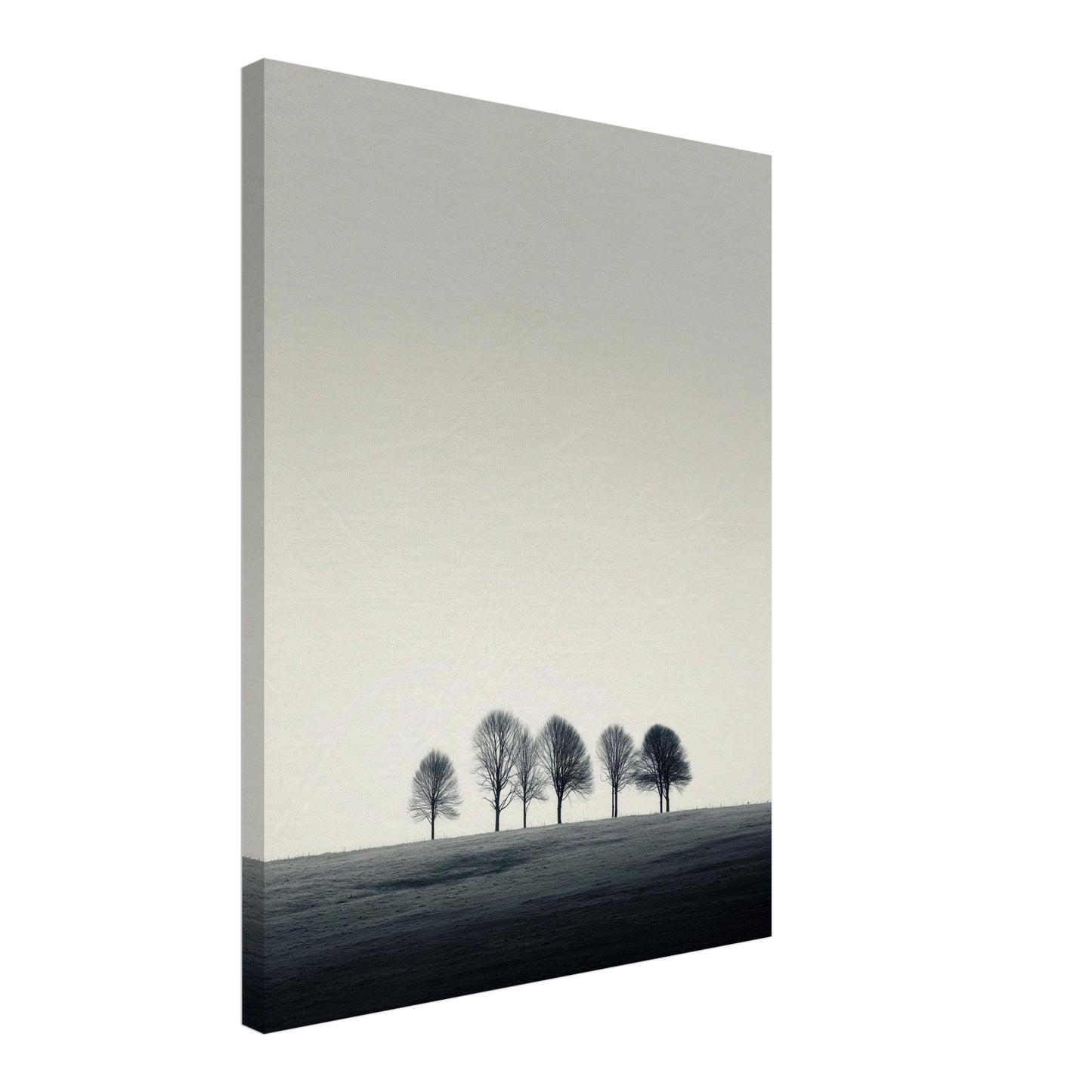 Bäume auf Kuppe Leinwandbild