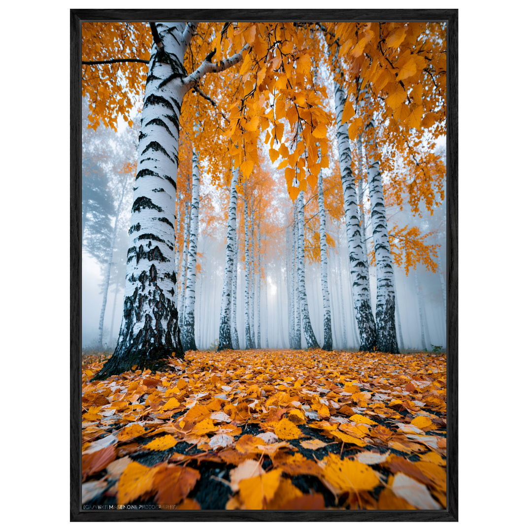 Goldener Birkenwald im Nebel Leinwandbild – Leinwandbild