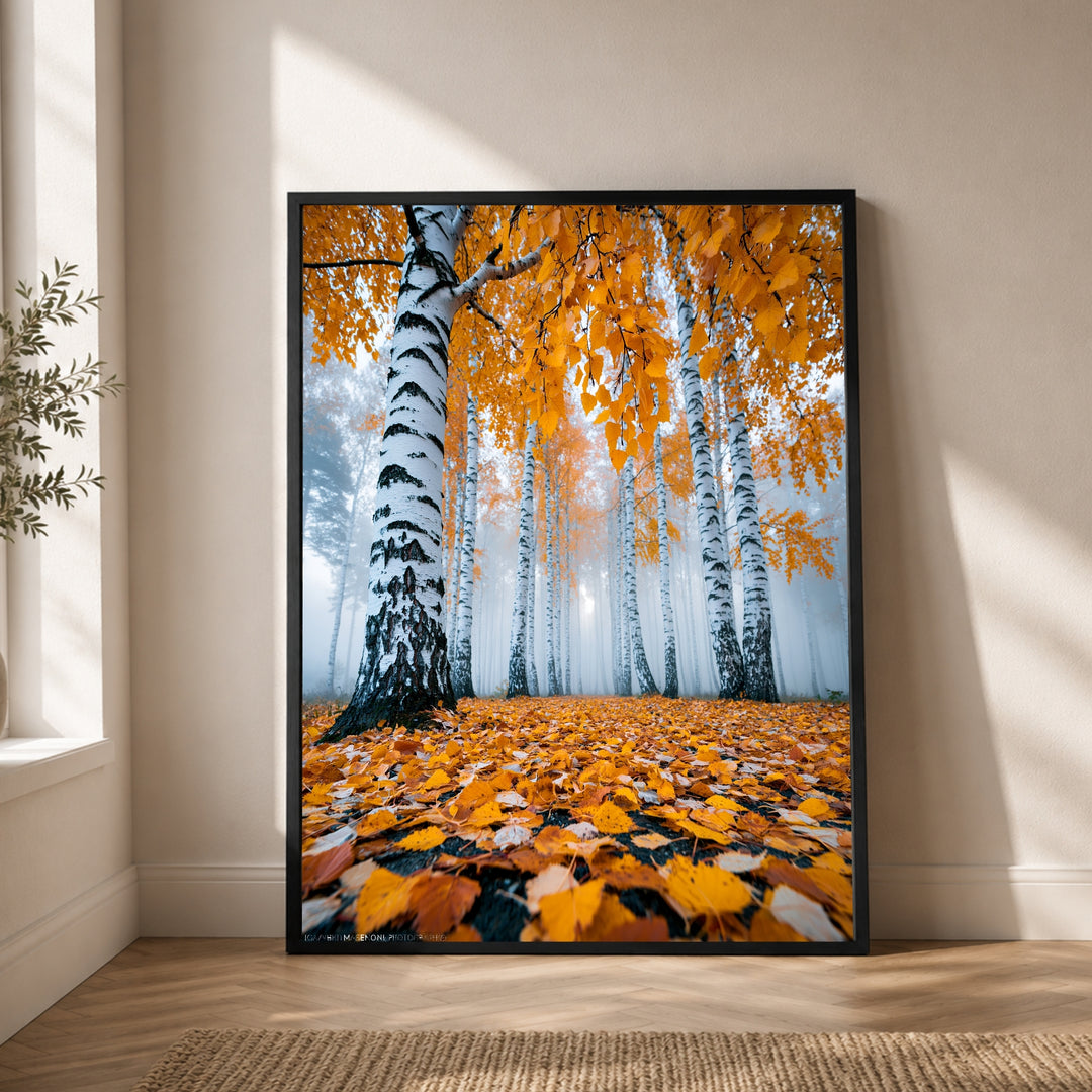 Goldener Birkenwald im Nebel Poster – Schwarzer Rahmen – Produktfoto