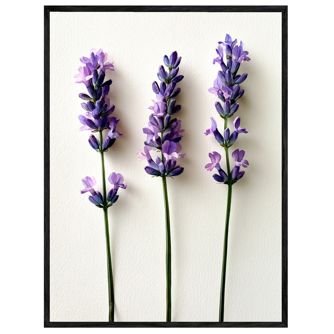 Drei Lavendel Stiele Leinwandbild – Leinwandbild