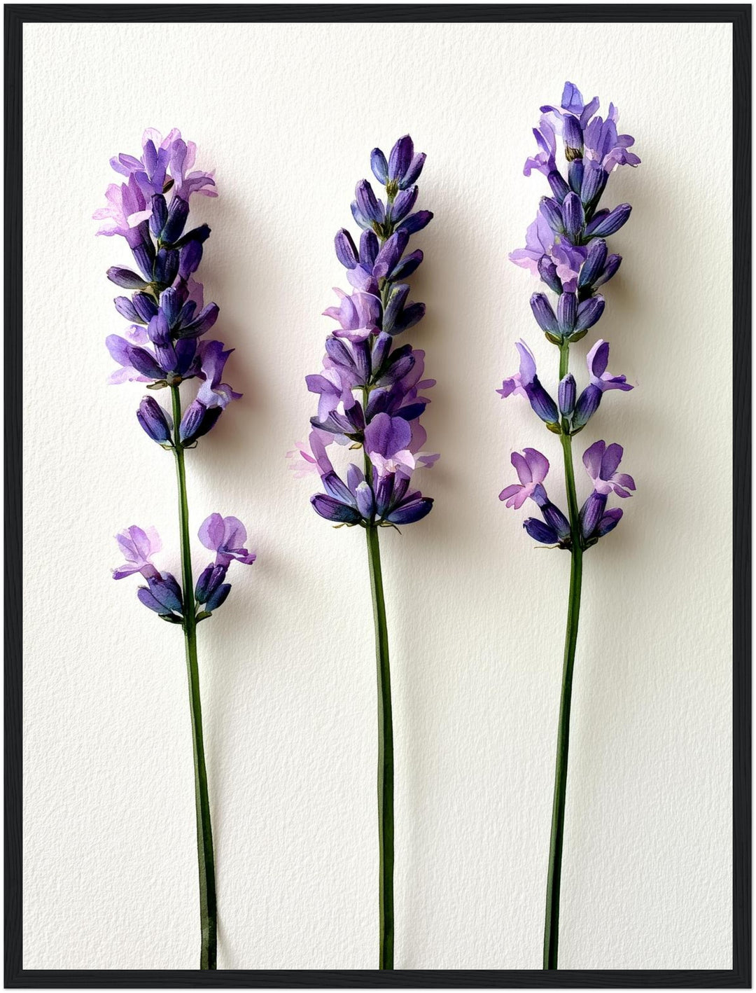 Drei Lavendel Stiele Poster – Schwarzer Rahmen – Produktfoto