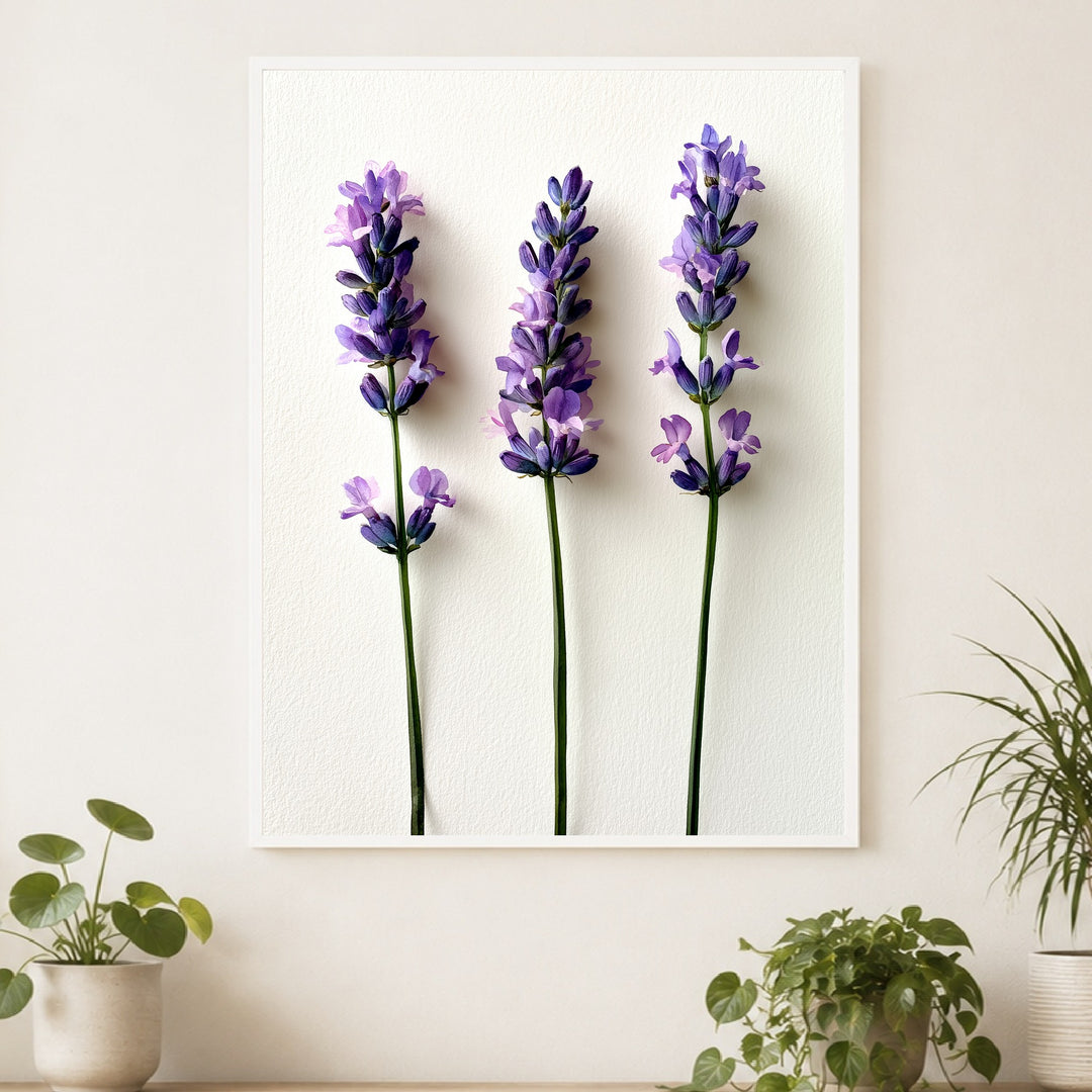 Drei Lavendel Stiele Poster – Weißer Rahmen – Produktfoto