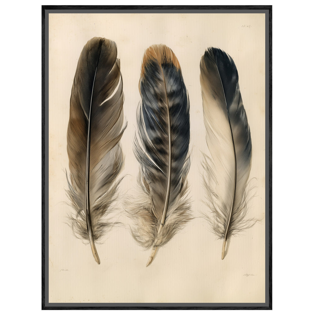 Drei Federn naturalistisch Leinwandbild – Leinwandbild