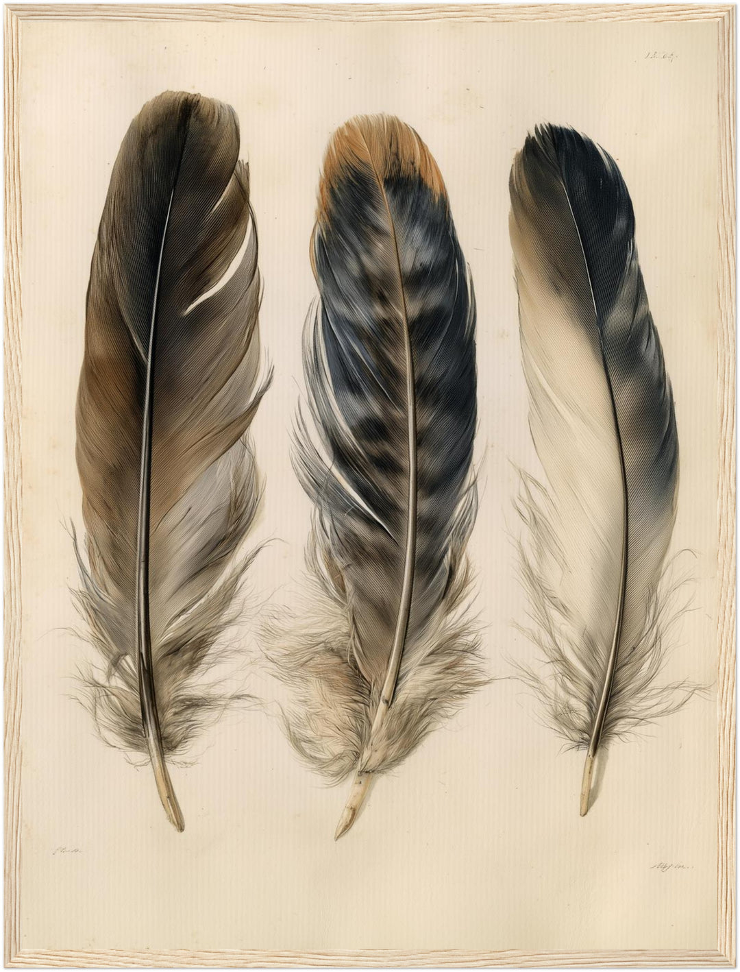 Drei Federn naturalistisch Poster – Holz natur Rahmen – Produktfoto
