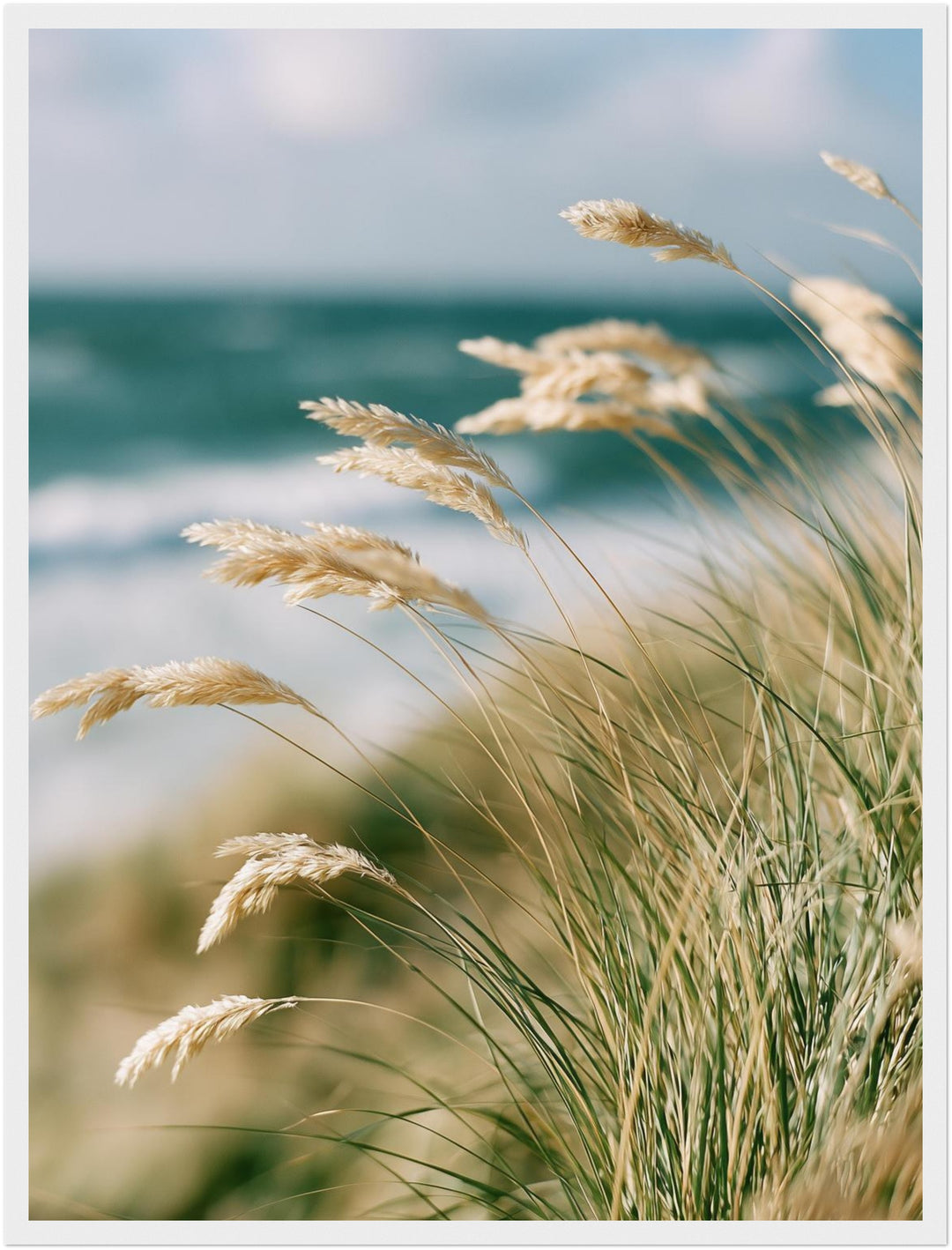 Dünengras am Meer Poster – Weißer Rahmen – Produktfoto