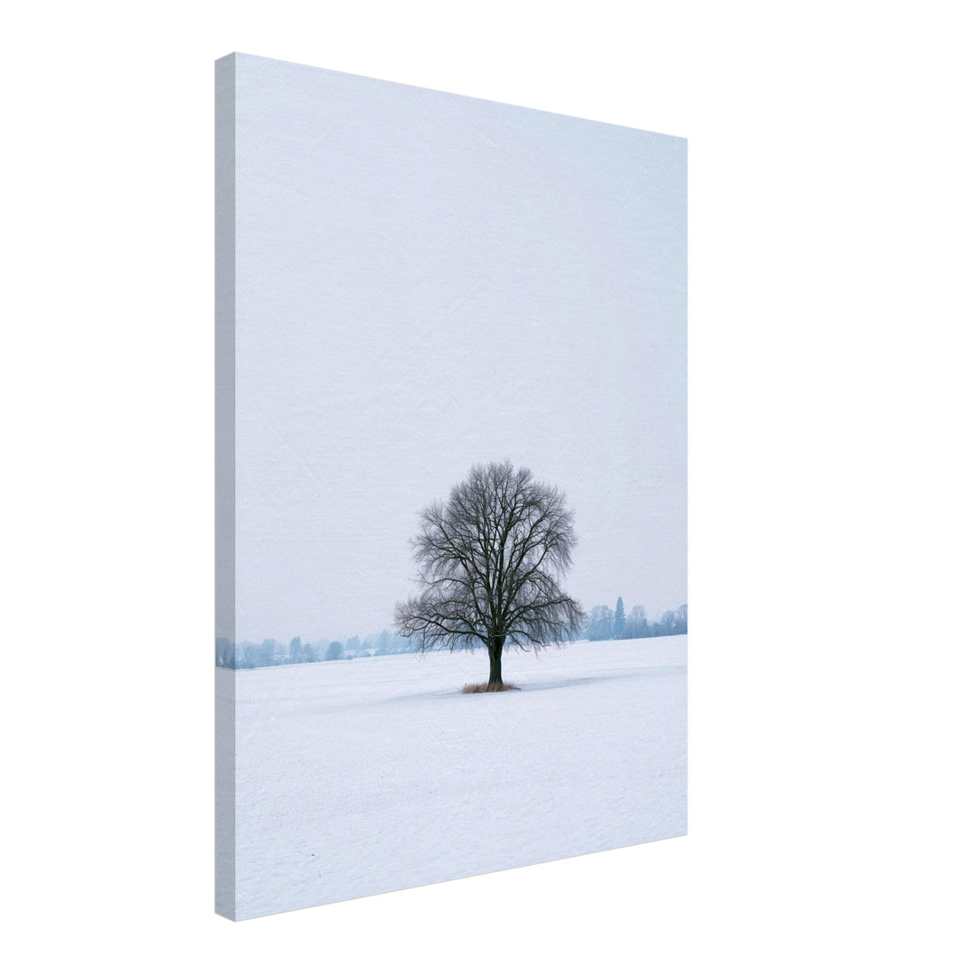 Einsame Linde im Schnee Leinwandbild – Schräge Ansicht – Produktfoto