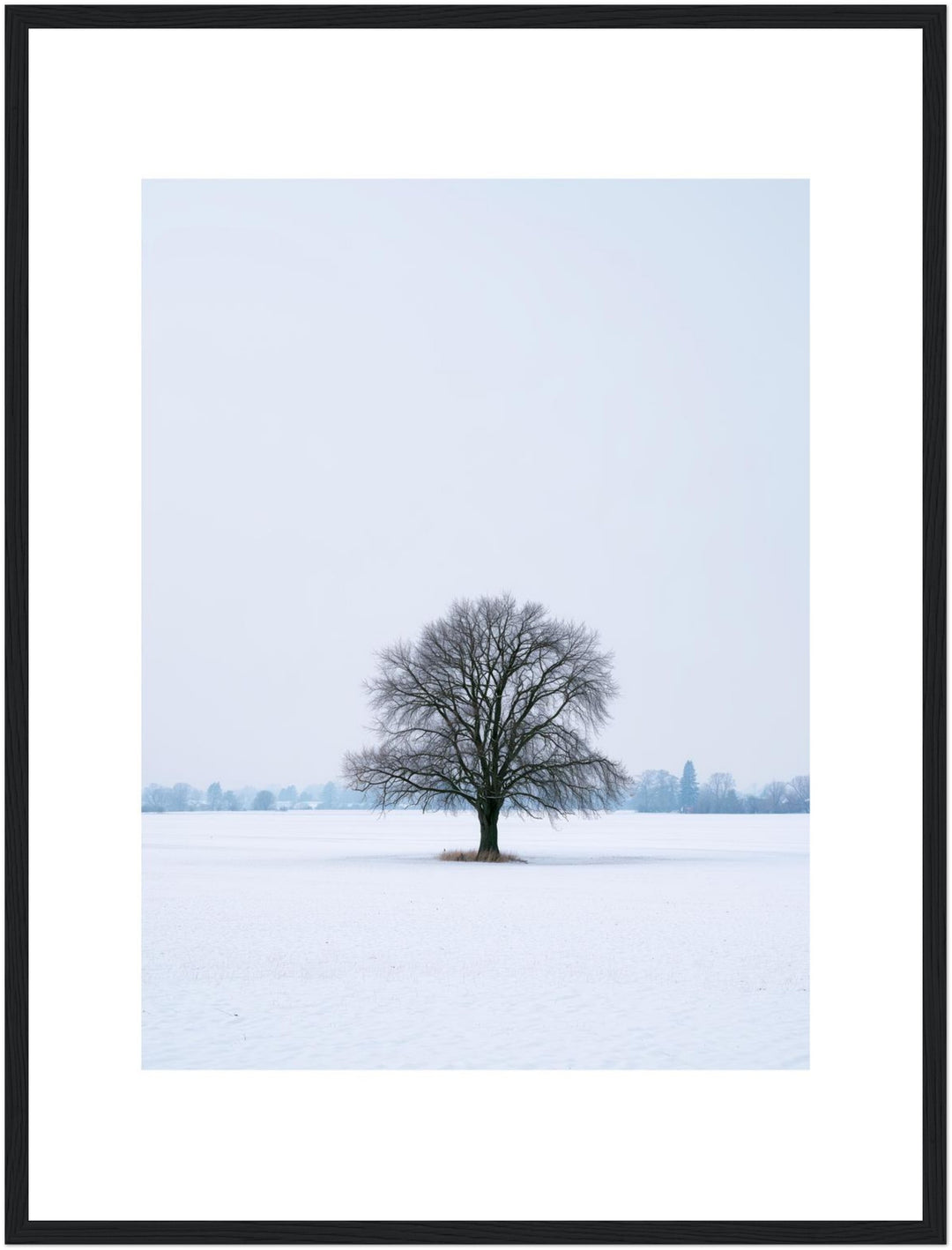 Einsame Linde im Schnee Poster – Schwarzer Rahmen – Produktfoto