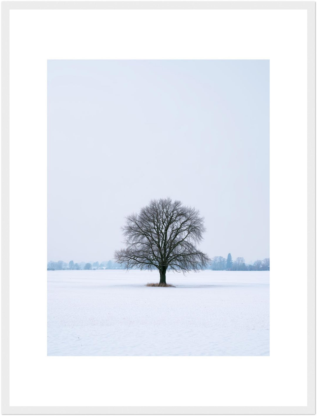 Einsame Linde im Schnee Poster – Weißer Rahmen – Produktfoto