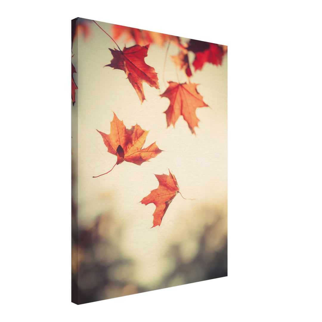 Fallende Ahornblätter im Herbst Leinwandbild – Schräge Ansicht – Produktfoto