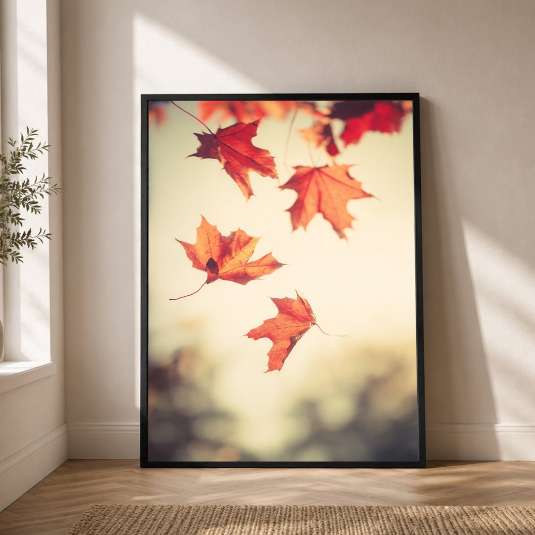 Fallende Ahornblätter im Herbst Poster – Schwarzer Rahmen – Produktfoto