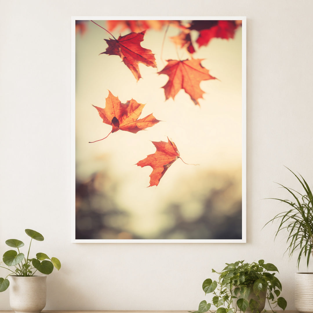Fallende Ahornblätter im Herbst Poster – Weißer Rahmen – Produktfoto