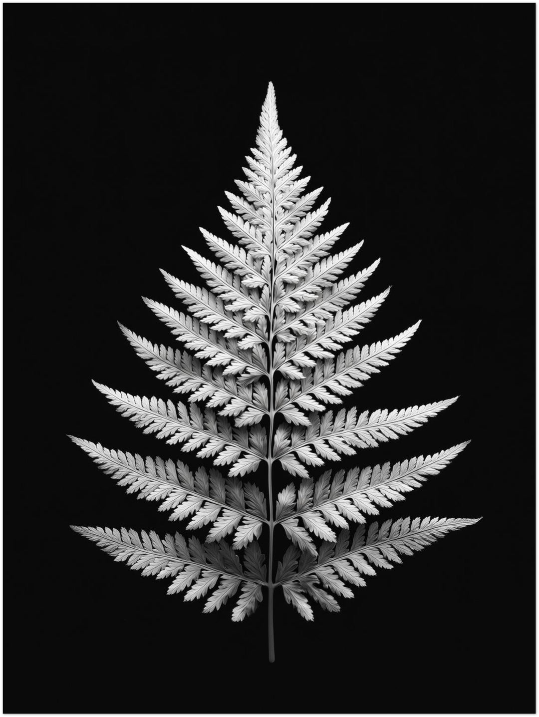 Farnblatt Symmetrie abstrakt – Wandkunst