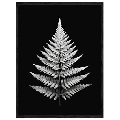 Farnblatt Symmetrie Leinwandbild
