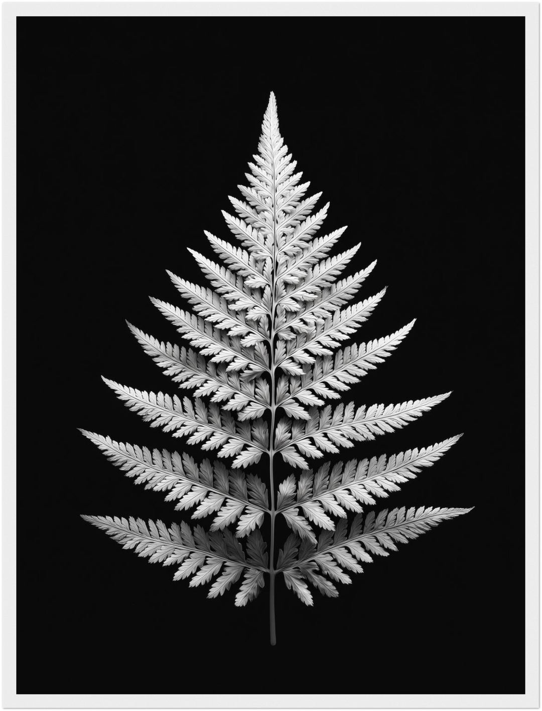 Farnblatt Symmetrie Poster abstrakt – mattes Kunstdruck-Papier – Ansicht 6