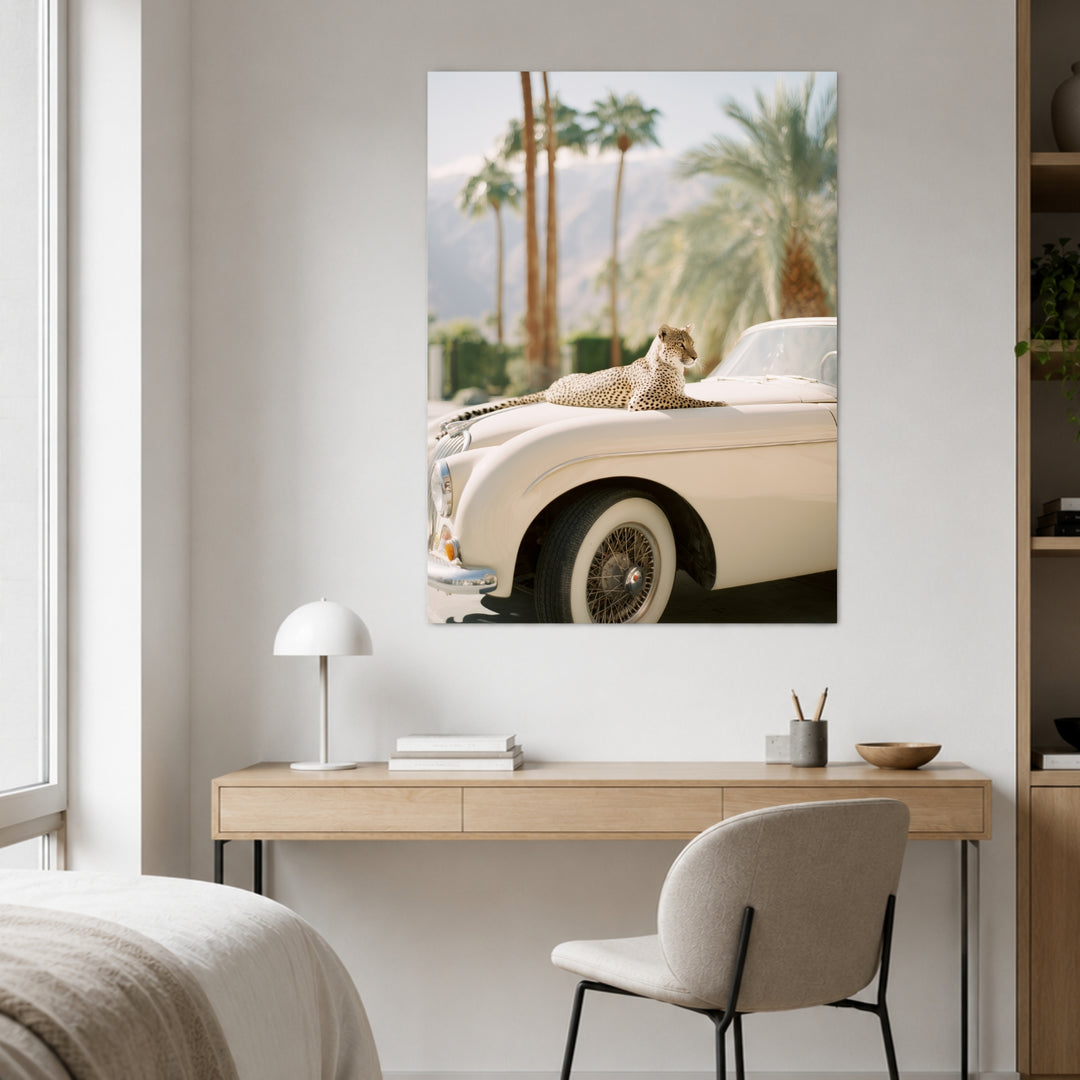 Gepard auf Creme-Cabrio Leinwandbild – Ohne Rahmen – Produktfoto