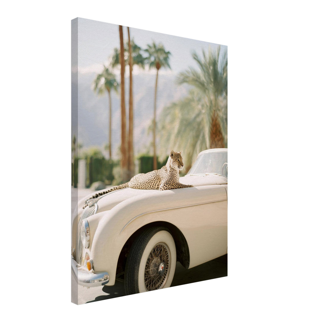 Gepard auf Creme-Cabrio Leinwandbild – Schräge Ansicht – Produktfoto