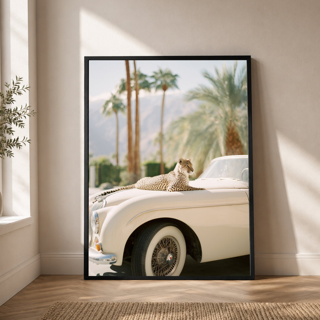 Gepard auf Creme-Cabrio Poster – Schwarzer Rahmen – Produktfoto