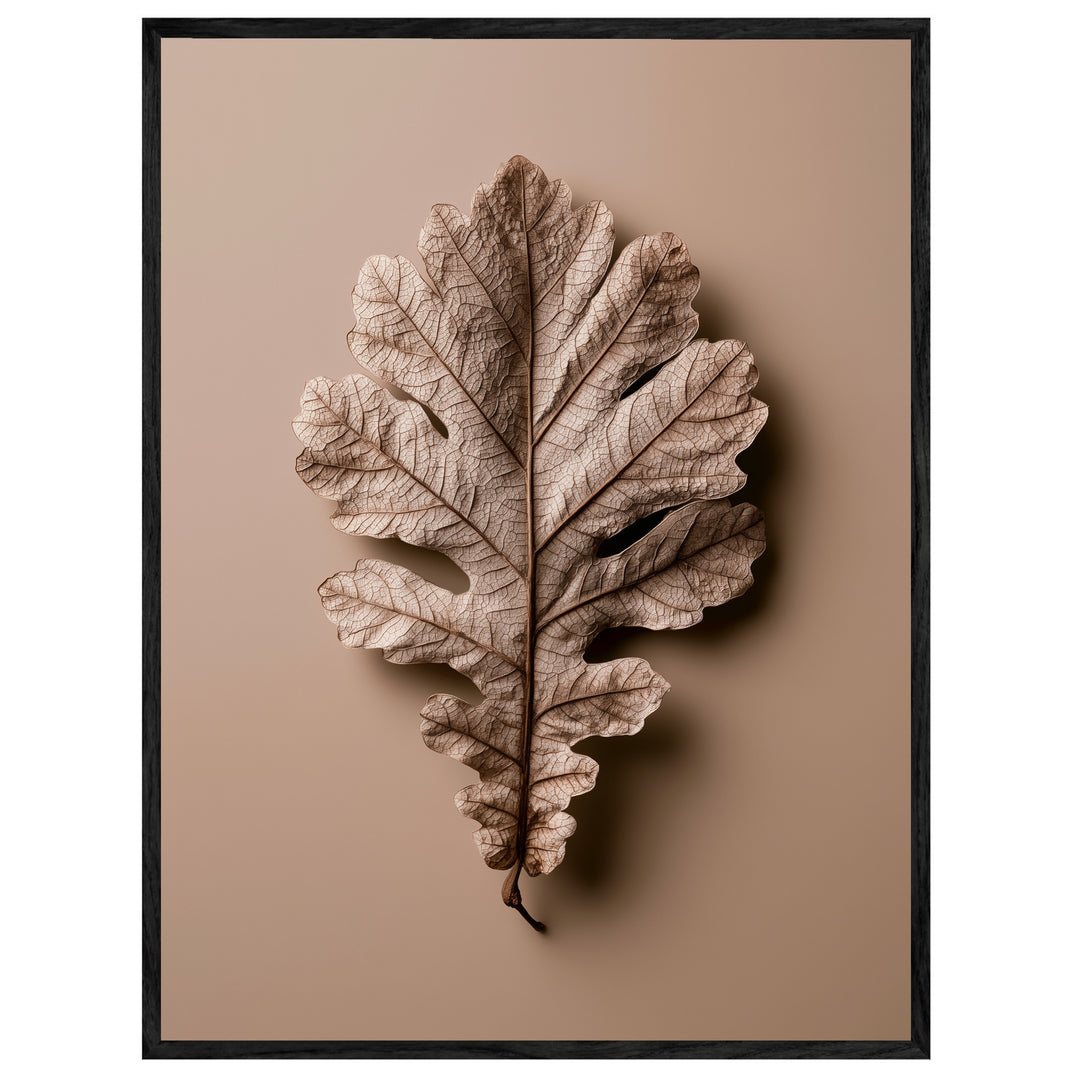 Getrocknetes Eichenblatt Nahaufnahme Leinwand