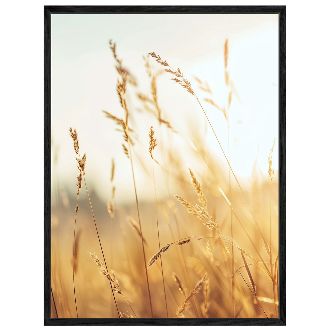 Goldene Gräser im Sonnenlicht Leinwand Landschaft – Leinwand auf Holzrahmen – Ansicht 4