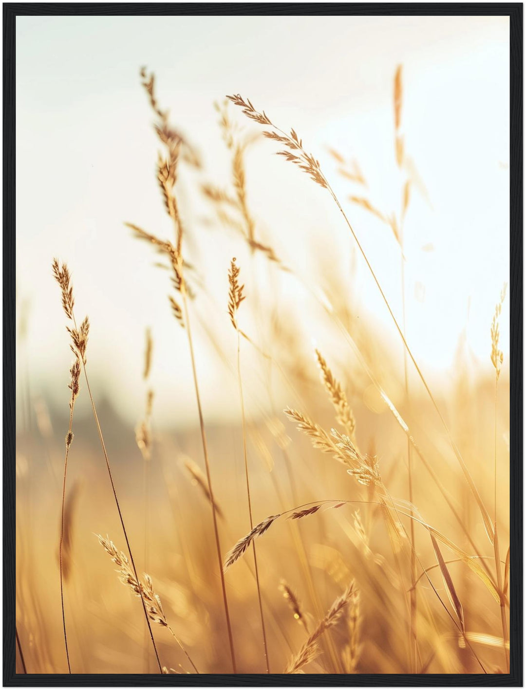Goldene Gräser im Sonnenlicht Poster Landschaft – mattes Kunstdruck-Papier – Ansicht 5