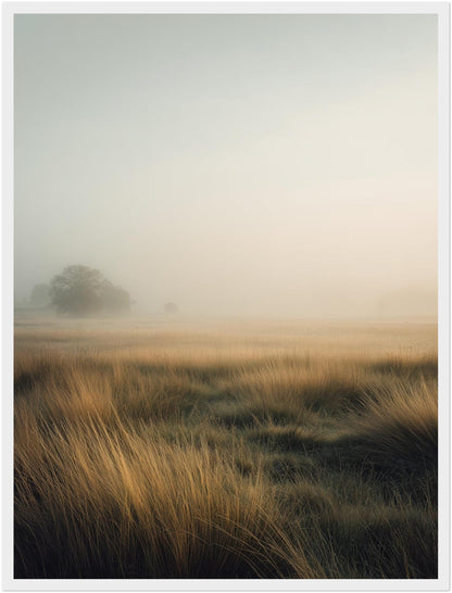 Goldene Gräser im Nebel Poster