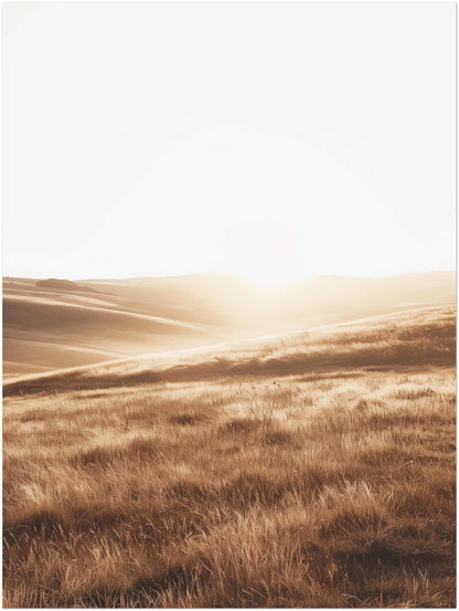Goldene Hügel Landschaft Poster