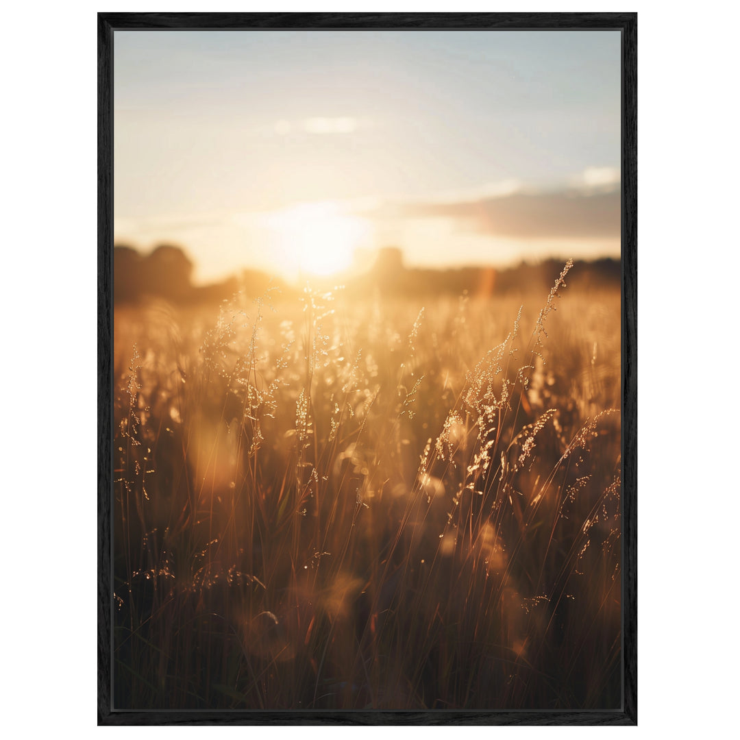 Goldenes Abendlicht im Grasfeld Leinwandbild – Leinwandbild